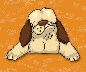 Shaggy Dog Math logo dog with orange equation background